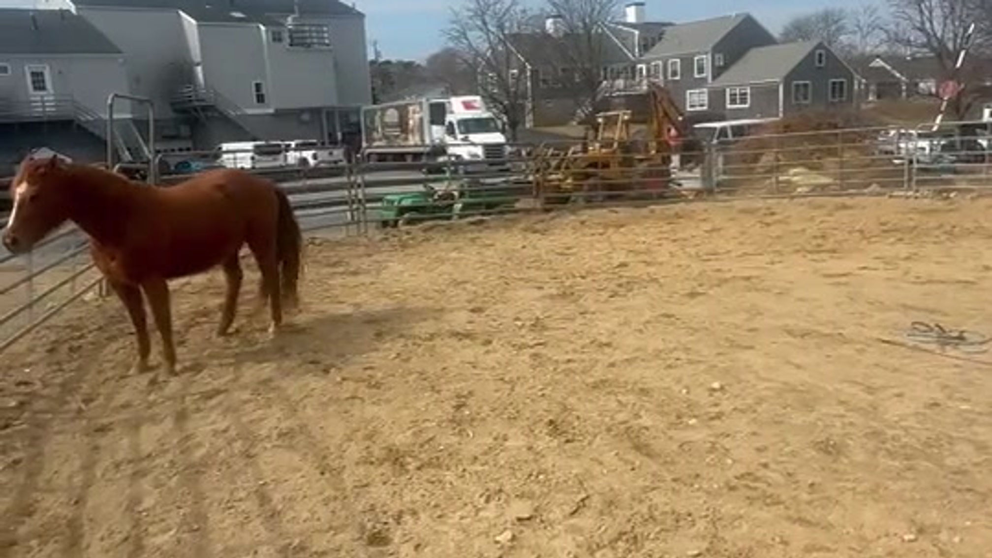 Proper Way for Changing Directions Horse Training